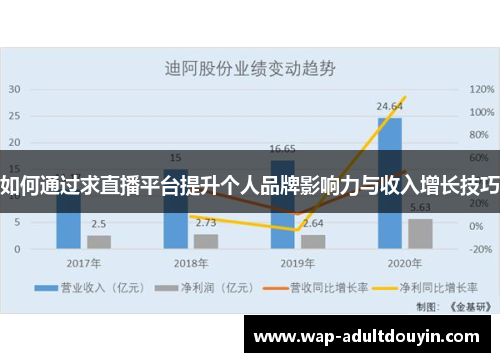 如何通过求直播平台提升个人品牌影响力与收入增长技巧