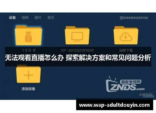 无法观看直播怎么办 探索解决方案和常见问题分析