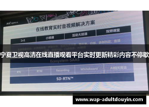 宁夏卫视高清在线直播观看平台实时更新精彩内容不停歇