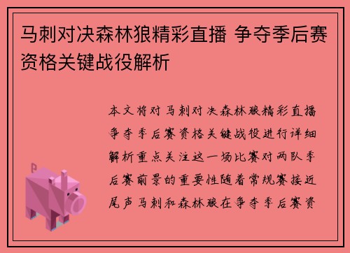 马刺对决森林狼精彩直播 争夺季后赛资格关键战役解析